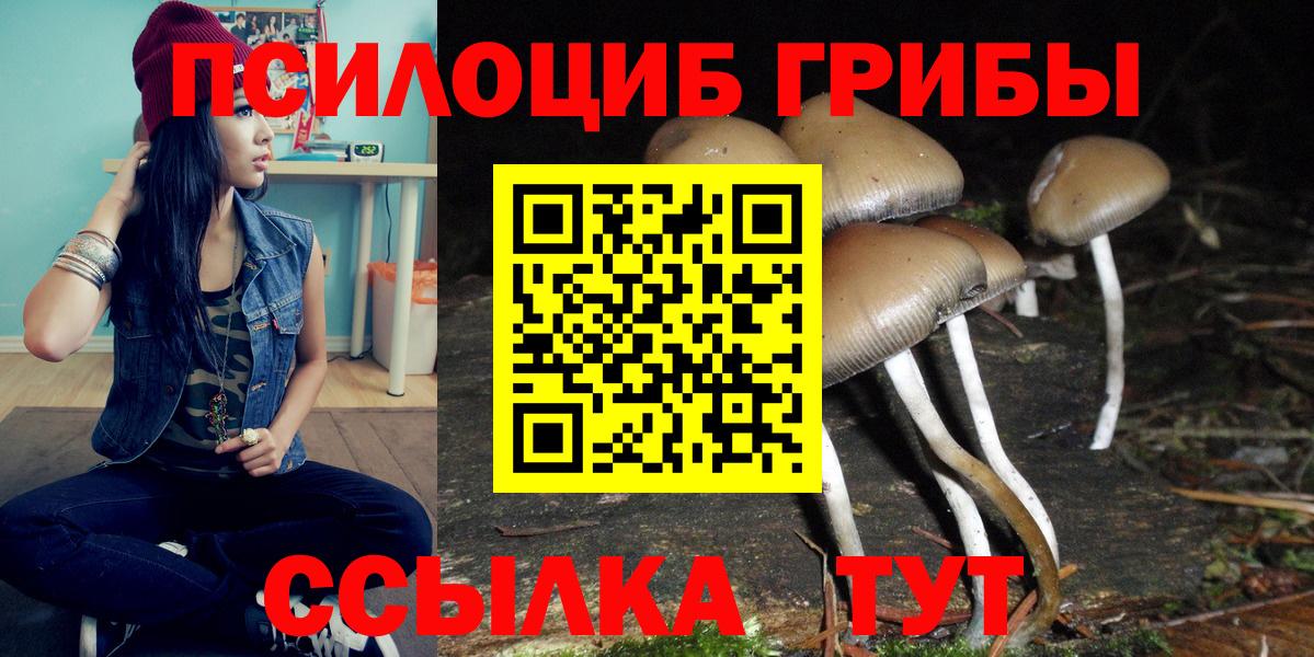 Полысаево  Галлюциногенные грибы мицелий  Вход с VPN 